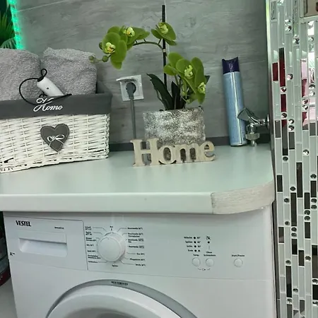 Erfurter Rose Эрфурт